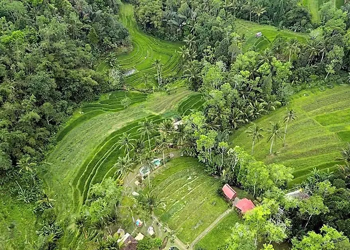 Pesona Bali By Agata * Wongaya Gede